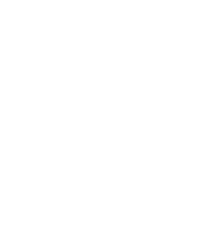 Krsnaa Diagnostics Ltd