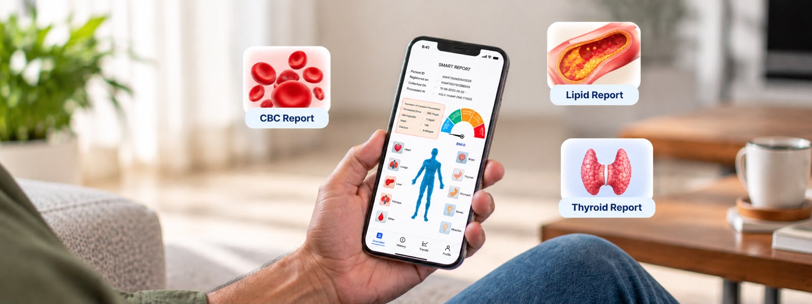 How to Read Your Blood Test Report: CBC, Lipid & Thyroid Guide